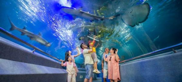 Explore the National Oceanographic museum